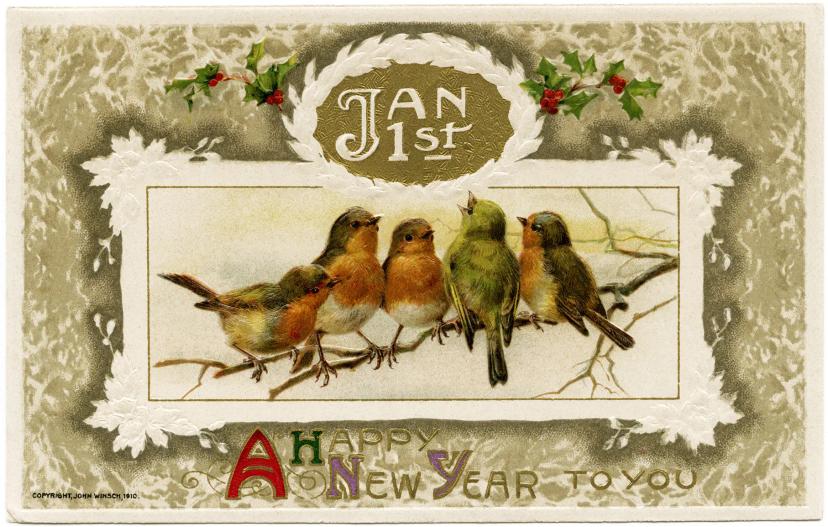 Postkarte mit Vögel